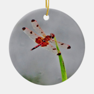 DSC00029.JPG KERAMIKORNAMENT