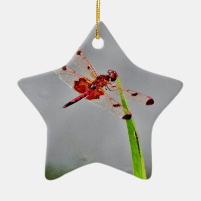 DSC00029.JPG KERAMIKORNAMENT (Vorne)