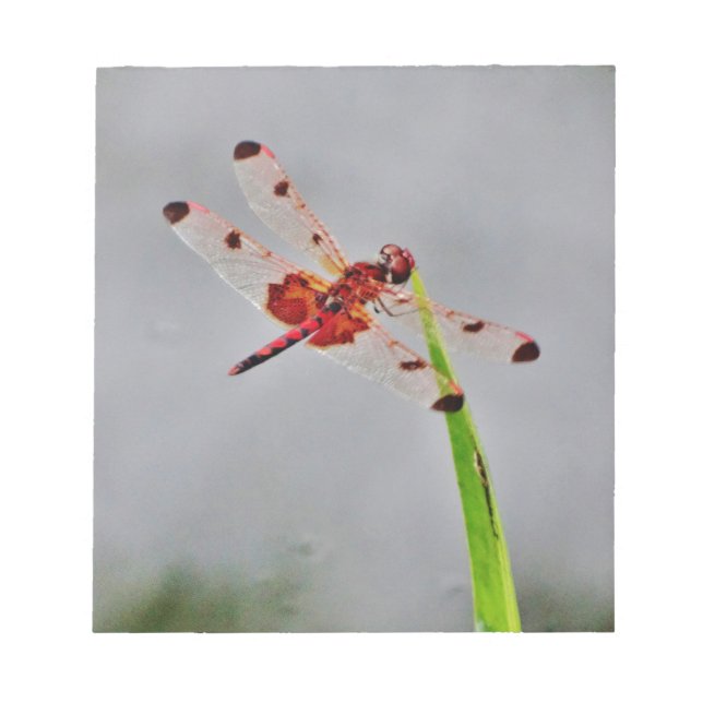 DSC00029.JPG NOTIZBLOCK (Vorderseite)