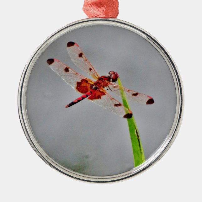 DSC00029.JPG ORNAMENT AUS METALL (Vorne)