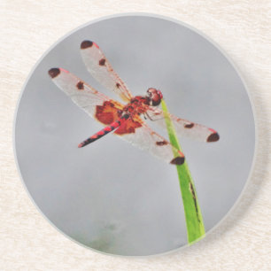 DSC00029.JPG SANDSTEIN UNTERSETZER