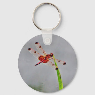 DSC00029.JPG SCHLÜSSELANHÄNGER