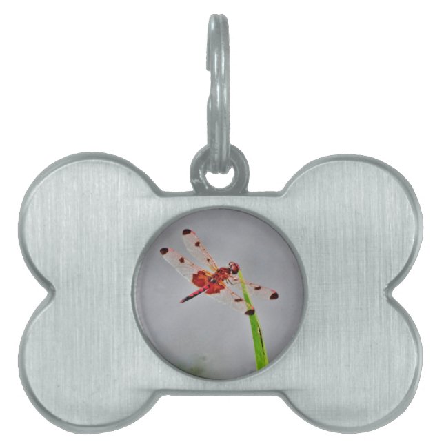 DSC00029.JPG TIERMARKE (Vorderseite)