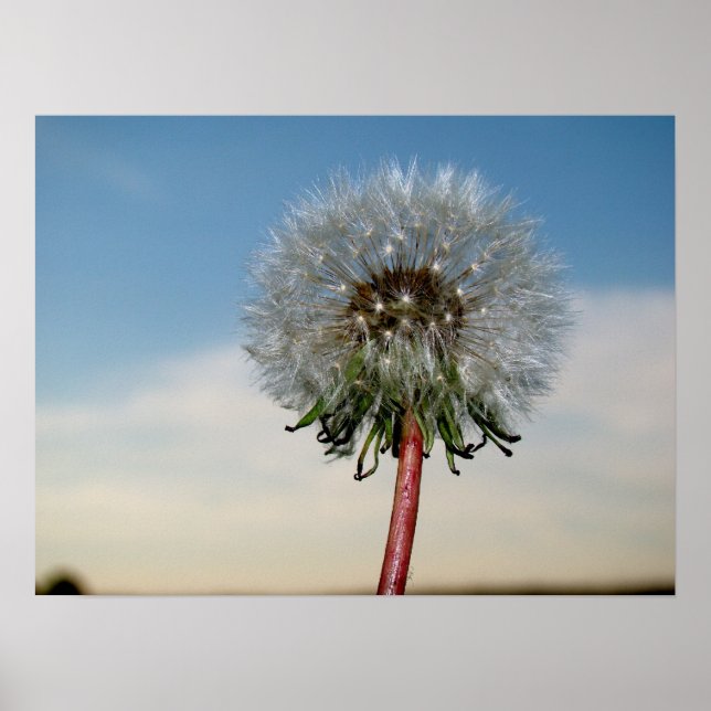 DSC00033 POSTER (Vorne)