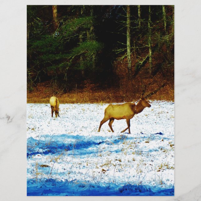 DSC00131.JPG (Vorderseite)