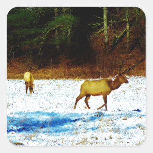 DSC00131.JPG AUFKLEBER