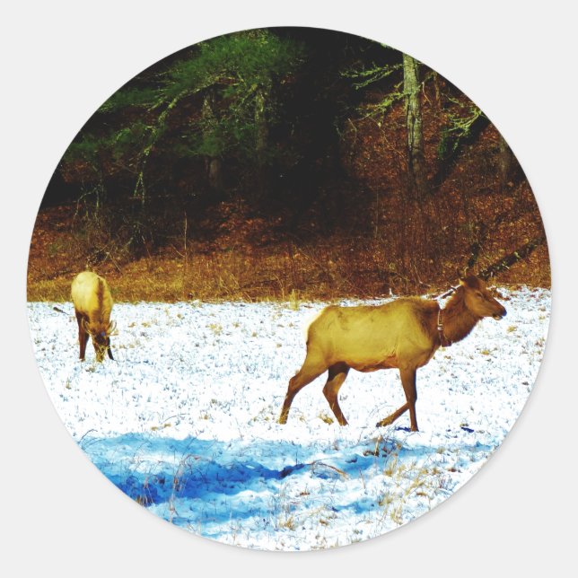 DSC00131.JPG AUFKLEBER (Vorderseite)