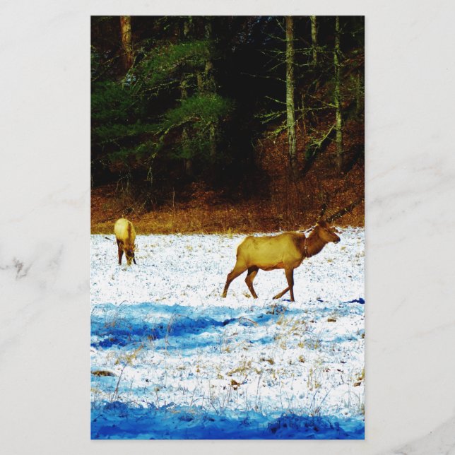 DSC00131.JPG BRIEFPAPIER