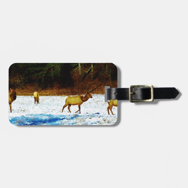 DSC00131.JPG GEPÄCKANHÄNGER (Vorderseite horizontal)