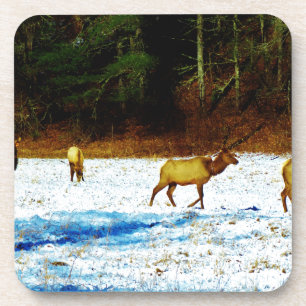 DSC00131.JPG GETRÄNKEUNTERSETZER