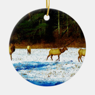 DSC00131.JPG KERAMIK ORNAMENT