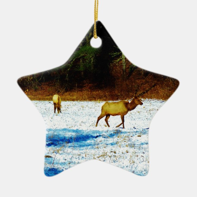 DSC00131.JPG KERAMIKORNAMENT (Vorne)