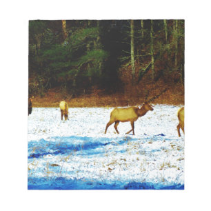 DSC00131.JPG NOTIZBLOCK