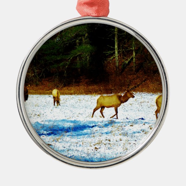 DSC00131.JPG ORNAMENT AUS METALL (Vorne)