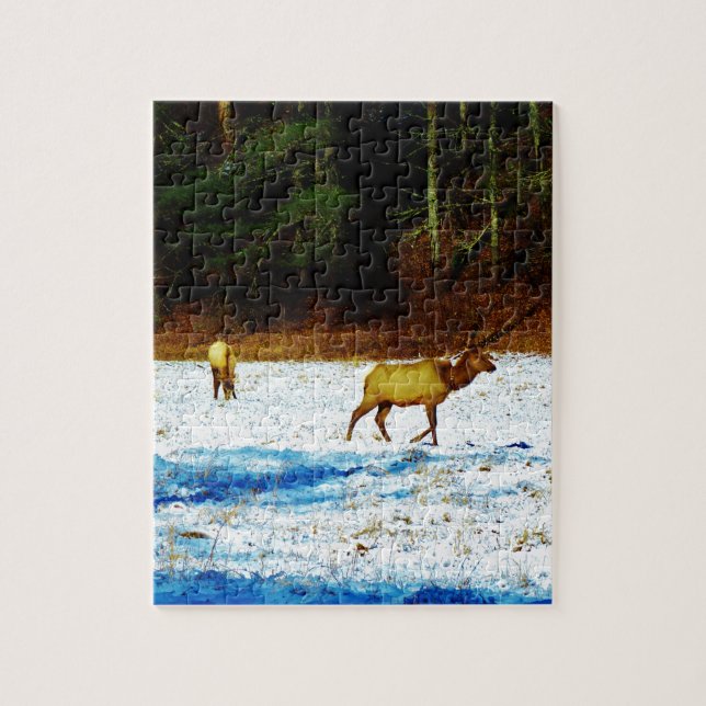 DSC00131.JPG PUZZLE (Vertikal)