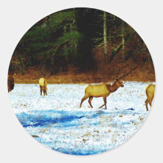 DSC00131.JPG RUNDER AUFKLEBER