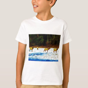 DSC00131.JPG T-Shirt