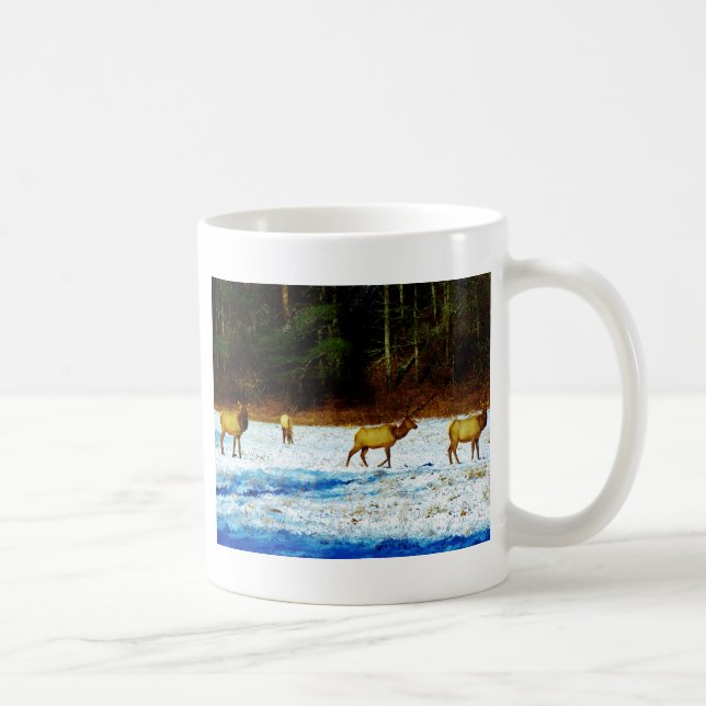 DSC00131.JPG TASSE (Rechts)