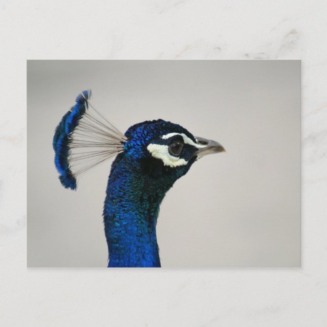 DSC00292 POSTKARTE (Vorderseite)