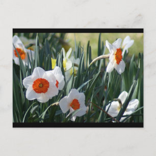 DSC01730 a Postkarte