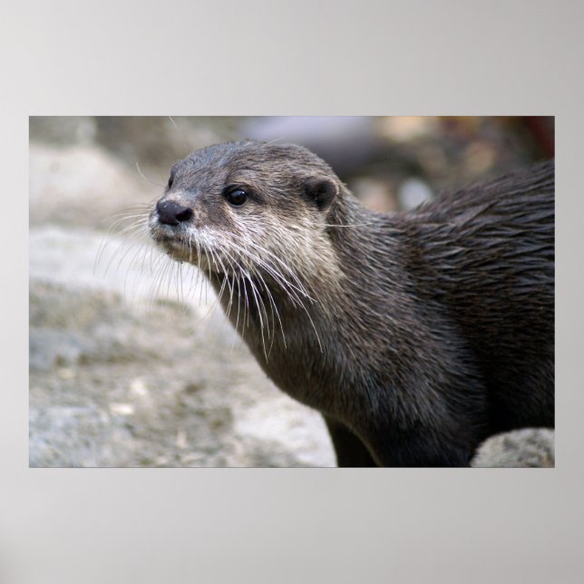 DSC01768 POSTER (Vorne)