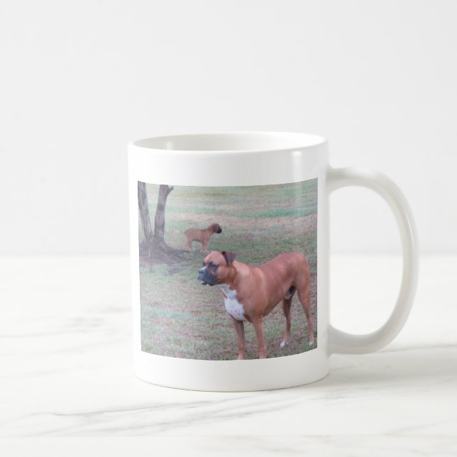 DSC02049 TASSE (Rechts)