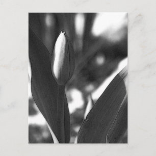 DSC02422 c Postkarte