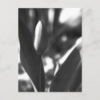 DSC02422 c Postkarte