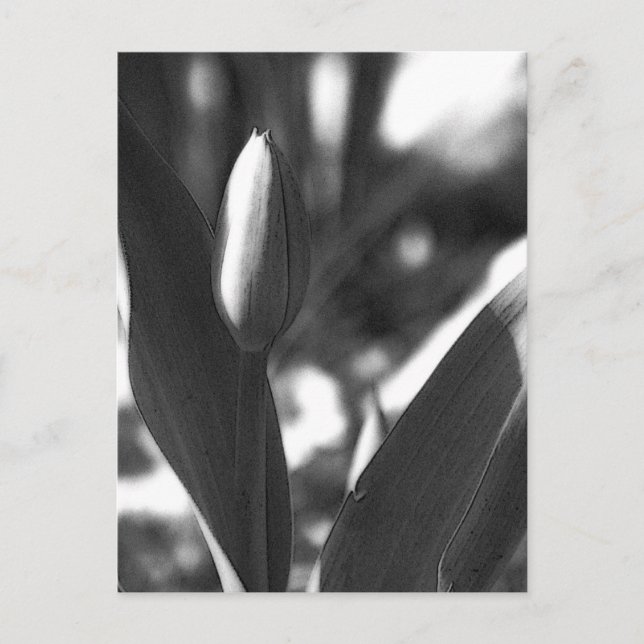 DSC02422 c Postkarte (Vorderseite)