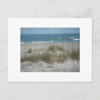 DSC04194, Cocoa Beach, FLPhoto von Julie.B.Carter Postkarte