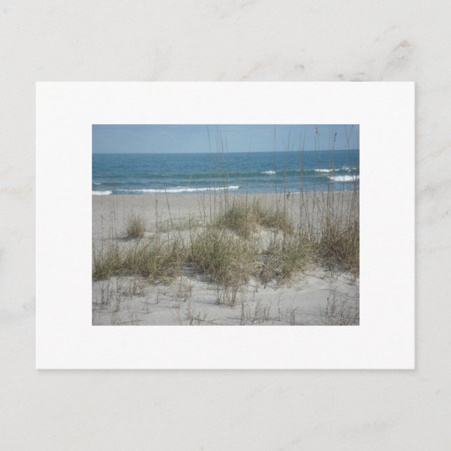 DSC04194, Cocoa Beach, FLPhoto von Julie.B.Carter Postkarte (Vorderseite)