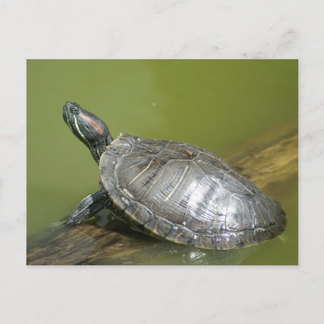 DSC04275 POSTKARTE (Vorderseite)