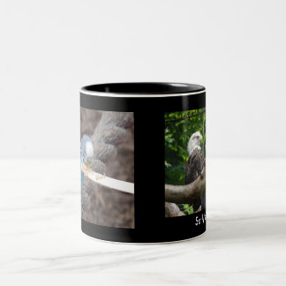 DSC04582, DSC04495, Sallys Tasse