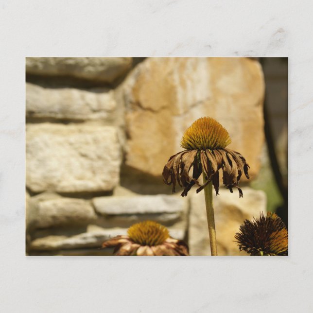 DSC06868 POSTKARTE (Vorderseite)