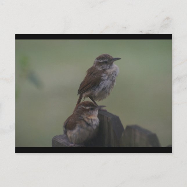 DSC07310 POSTKARTE (Vorderseite)