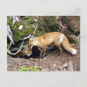 DSC08270-Kopie Postkarte