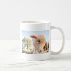 _DSC2491 KAFFEETASSE