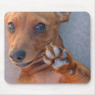DSC_1359 MOUSEPAD