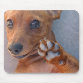 DSC_1359 MOUSEPAD