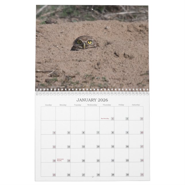 DSC_2816, 2011 KALENDER (Jan 2026)