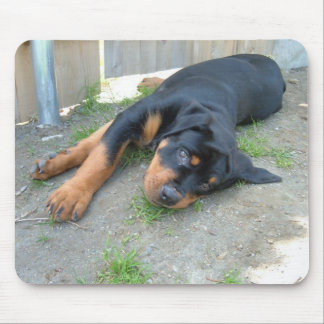 DSCF0140 MOUSEPAD