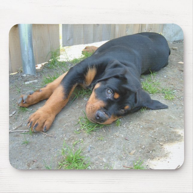 DSCF0140 MOUSEPAD (Vorne)