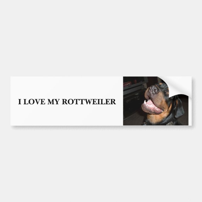 DSCF0313, I-LIEBE MEIN ROTTWEILER AUTOAUFKLEBER (Vorne)