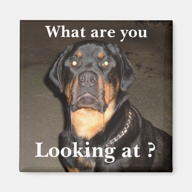 DSCF0490, Was sind Sie , Schauen Sie sich an ? Magnet (Vorne)