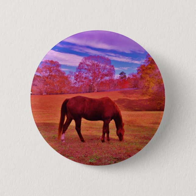 DSCF0536.JPG BUTTON (Vorderseite)