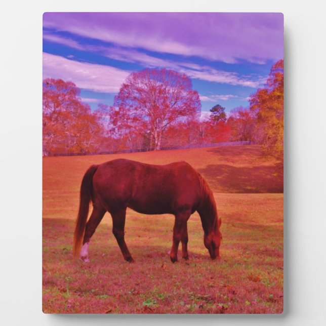 DSCF0536.JPG FOTOPLATTE (Vorderseite)