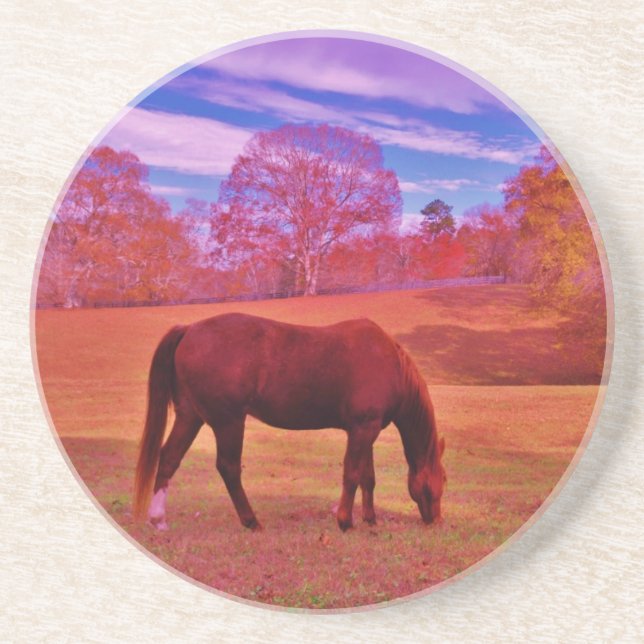 DSCF0536.JPG GETRÄNKEUNTERSETZER (Vorne)