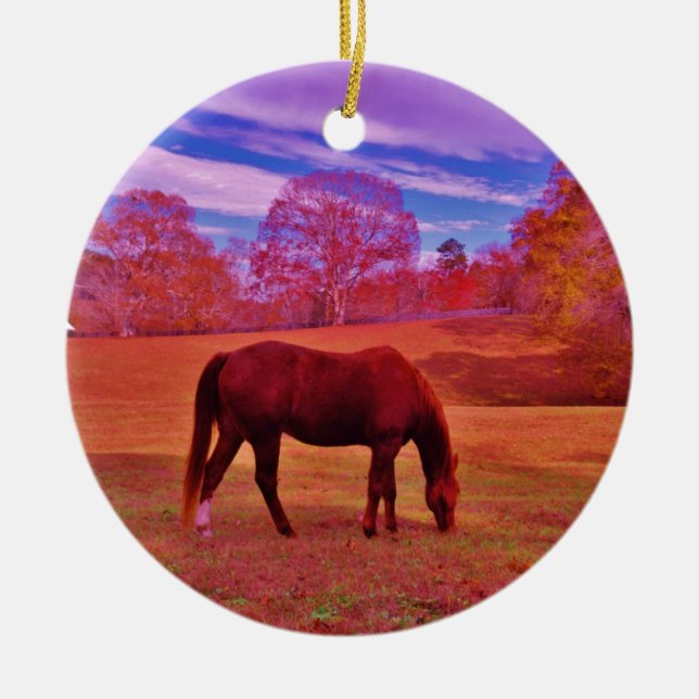 DSCF0536.JPG KERAMIKORNAMENT (Vorne)