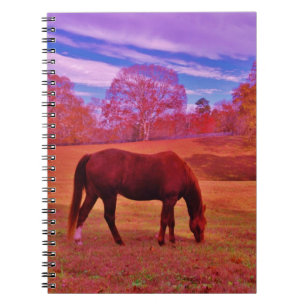 DSCF0536.JPG NOTIZBLOCK