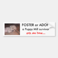 DSCF0636, FÖRDERN oder ADOPTIEREN                 
